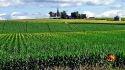 Trump Administration Launches Crackdown on Chinese Ownership of U.S. Farmland