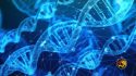 Scientists Move Closer To Creating ‘Life From Scratch’ With Synthetic Cell Breakthrough